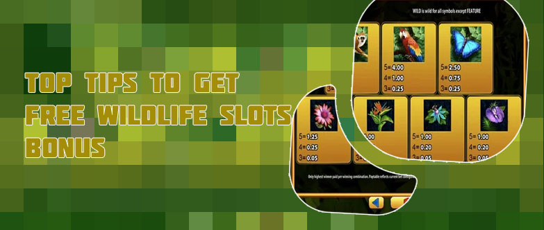 Free wildlife slots