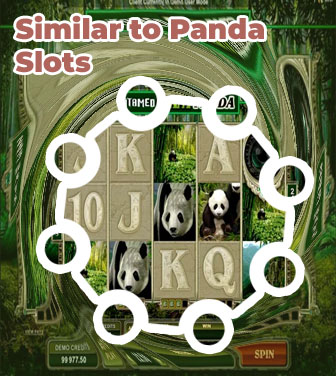 Panda slot game