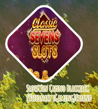 Slotswin