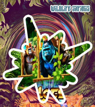 Wildlife slots